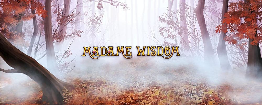 Madame Wisdom preview