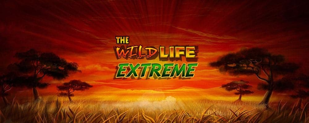 The Wild Life Extreme preview